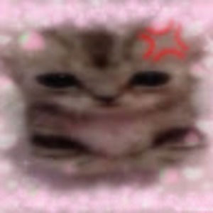 Meet your Posher, Keira